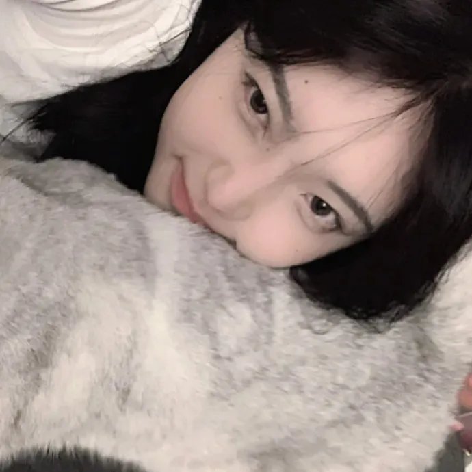 牢笼的熊